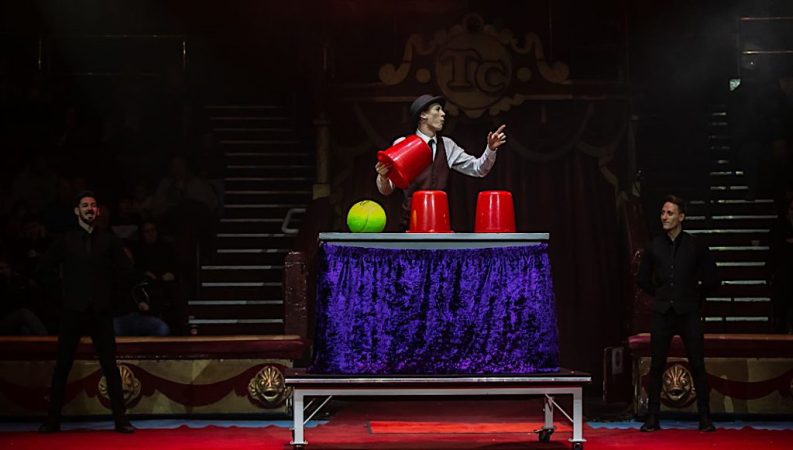 illusionist-15-1.jpg