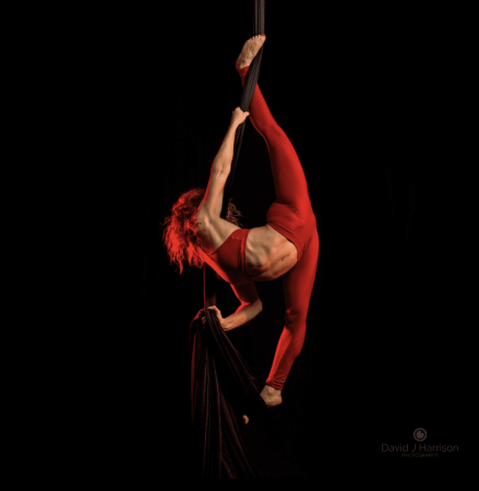 jade-gem-aerial-silks-hoop-4-1.png